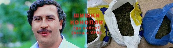 не бодяженный Дмитриев