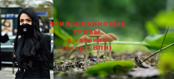 каннабис Дмитровск