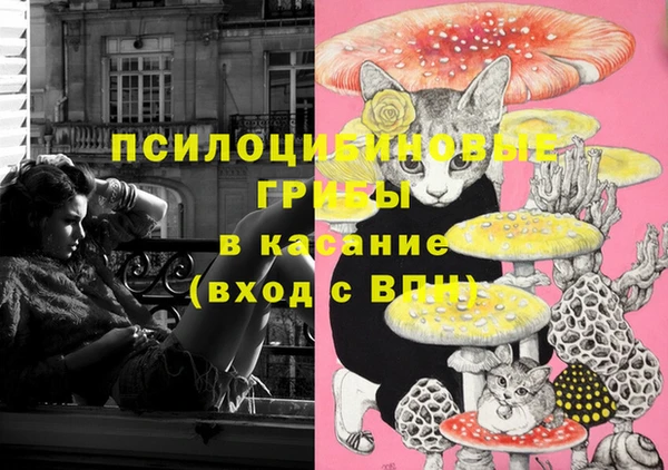 крисы Касимов