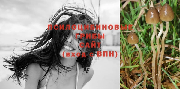 каннабис Дмитровск